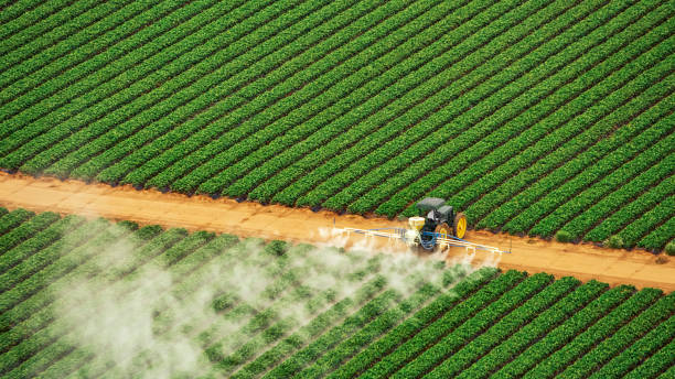 Pest Control Cost in Wilmington Manor, DE