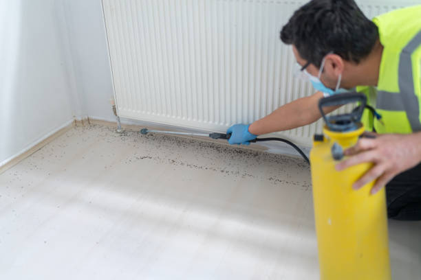 Best Wasp Removal Services  in Wilmington Manor, DE